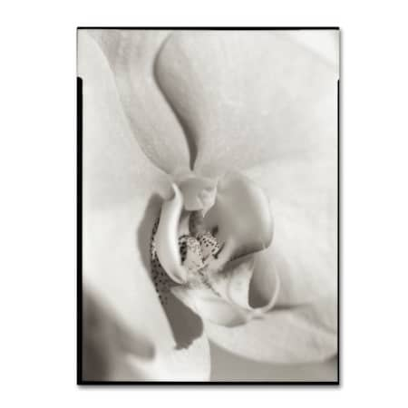 Alan Blaustein 'Florison 22' Canvas Art,14x19